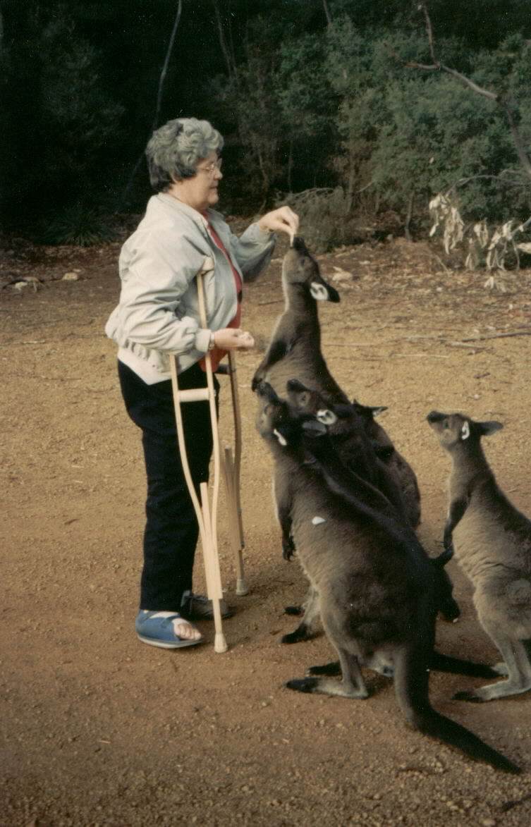 [Australian Wallabies]